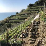 게스트하우스 Zia Letizia Bed And Wine 몬테로소 알 마레