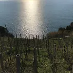 게스트하우스 Zia Letizia Bed And Wine 4*