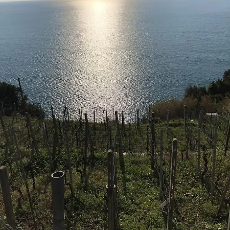 Pensión Zia Letizia Bed And Wine 4*