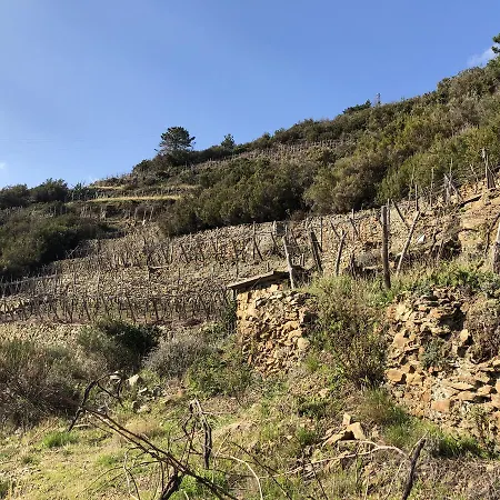 지아 레티치아 베드 앤 와인 4* 몬테로소 알 마레