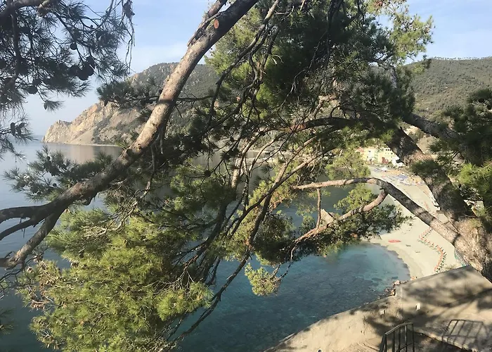 Zia Letizia Bed And Wine Maison d'hôtes 4*