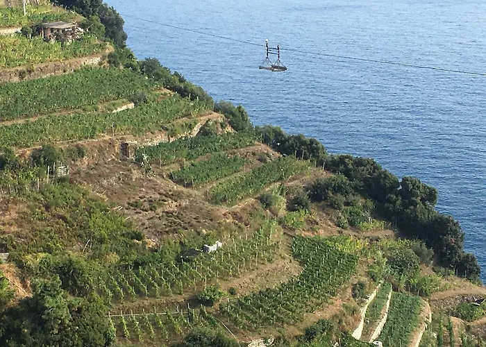 Zia Letizia Bed And Wine 4* Monterosso al Mare